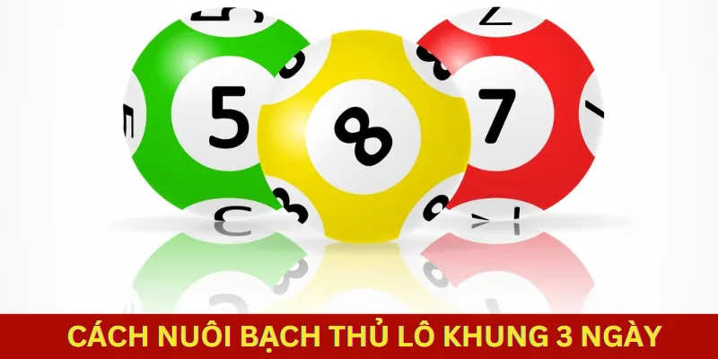 Nuôi bạch thủ lô khung 3 ngày như thế nào?
