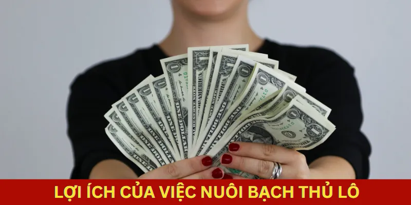 Vì sao nuôi bạch thủ lô khung 5 ngày dể kiếm tiền?