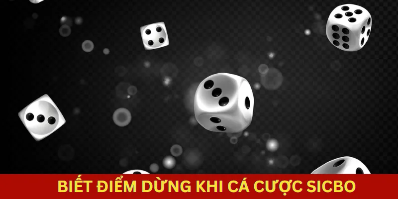 Lưu ý khi chơi sicbo