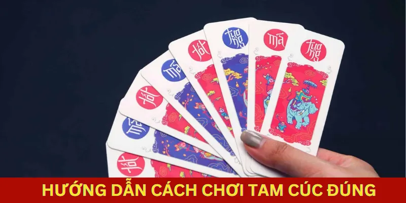 Tam cúc nhà cái