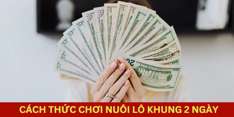 Cách chơi nuôi lô khung 2 ngày nhà cái